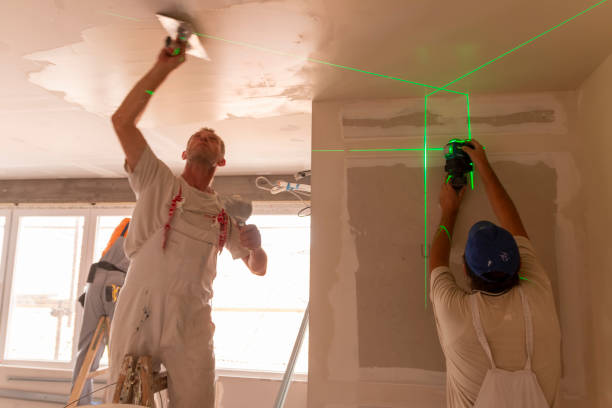 Best Ceiling Painting Services  in Franklin, NH